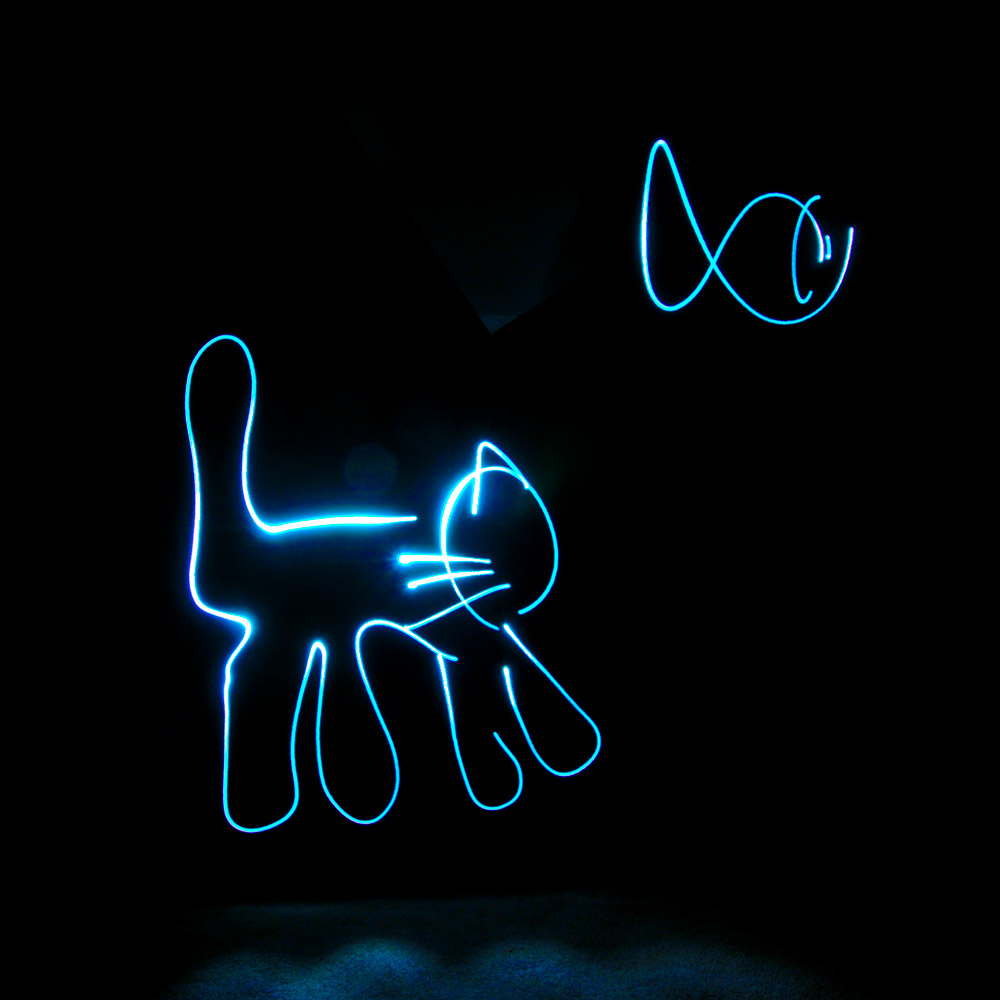 Cat and fish made with light painting